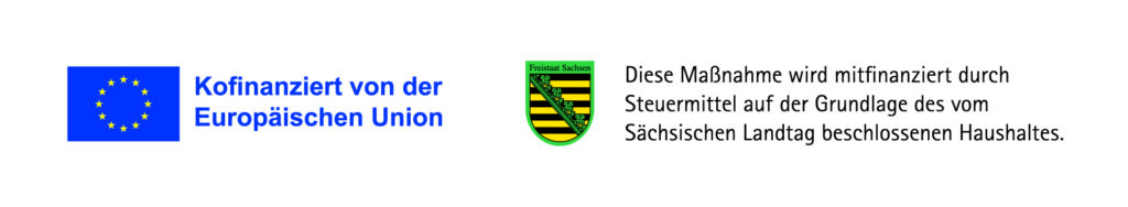 Logo des ESF PLUS Promotionsstipendiums zur Förderung dieses Projekts. Diese Maßnahme wird mit Mitteln der Europäischen Union kofinanziert und durch Steuermittel auf Grundlage des vom Sächsischen Landtags beschlossenen Haushaltes mitfinanziert.
